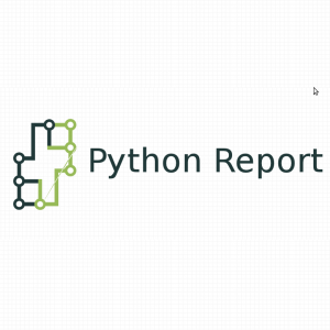 python-report-jasper-server+logo